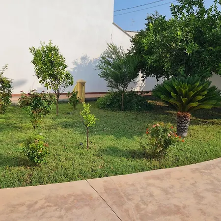 Fede&edo * 수르보